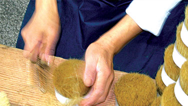 豬鬃的收集與加工